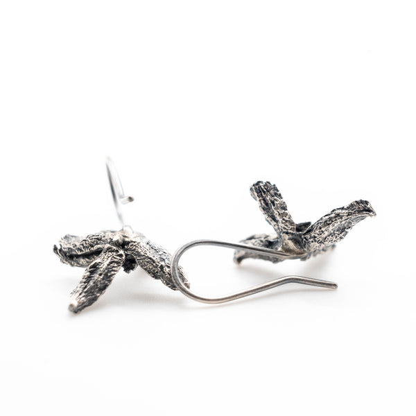 monadika asimenia skoularikia