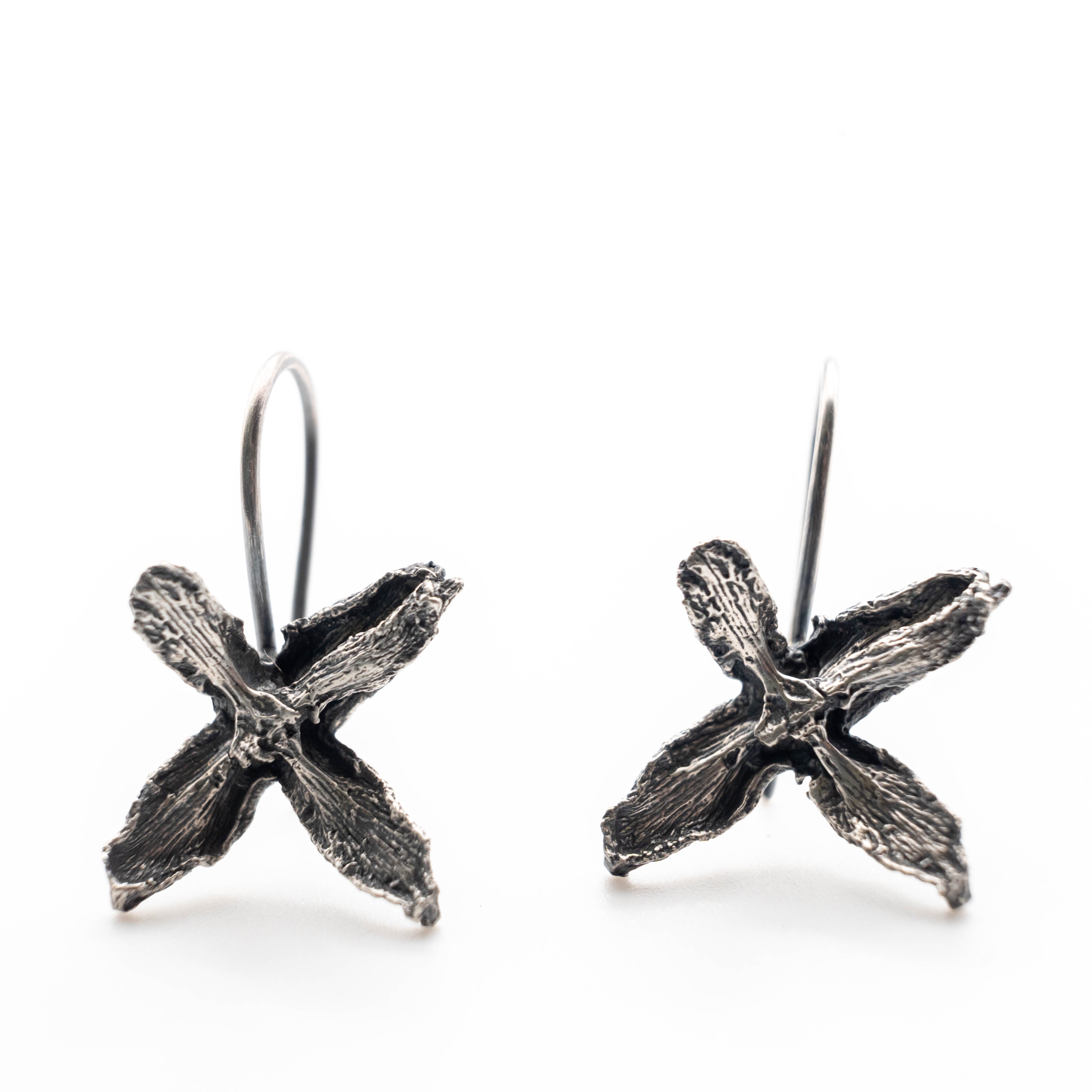 skoularikia me alithina louloudia