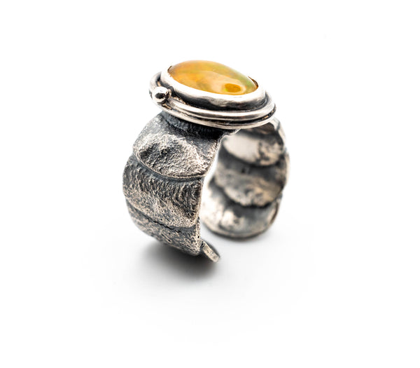 asimenio daxtilidi me opalio