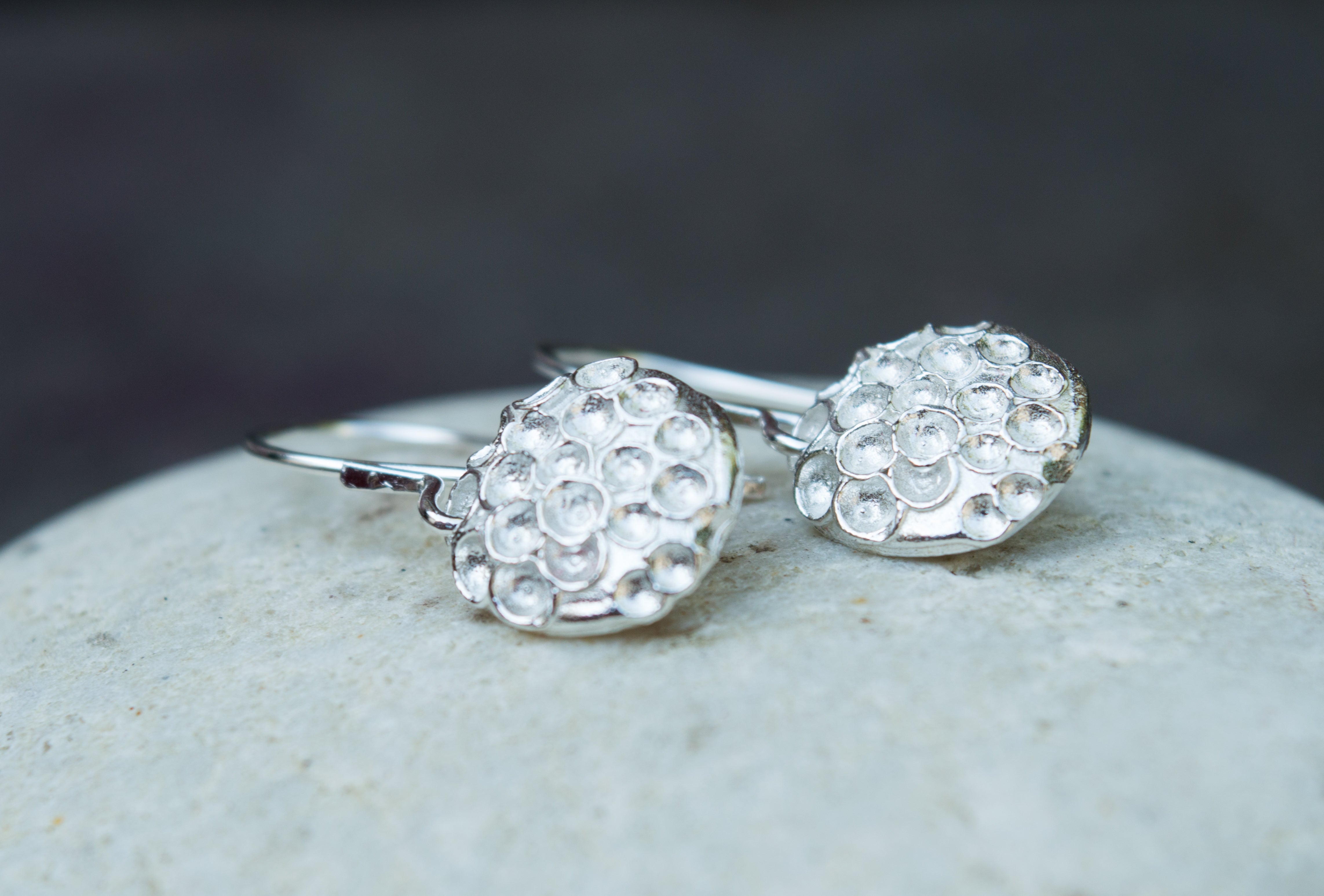 ασημενια κρεμαστα σκουλαρικια