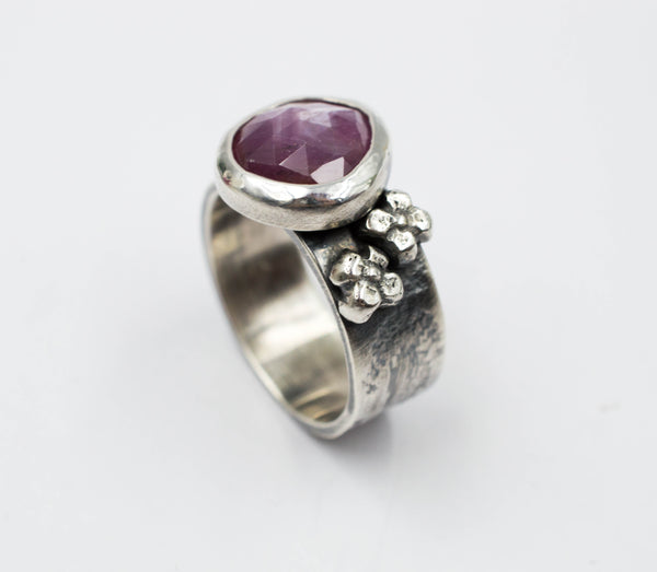 asimenia daxtilidia me petres