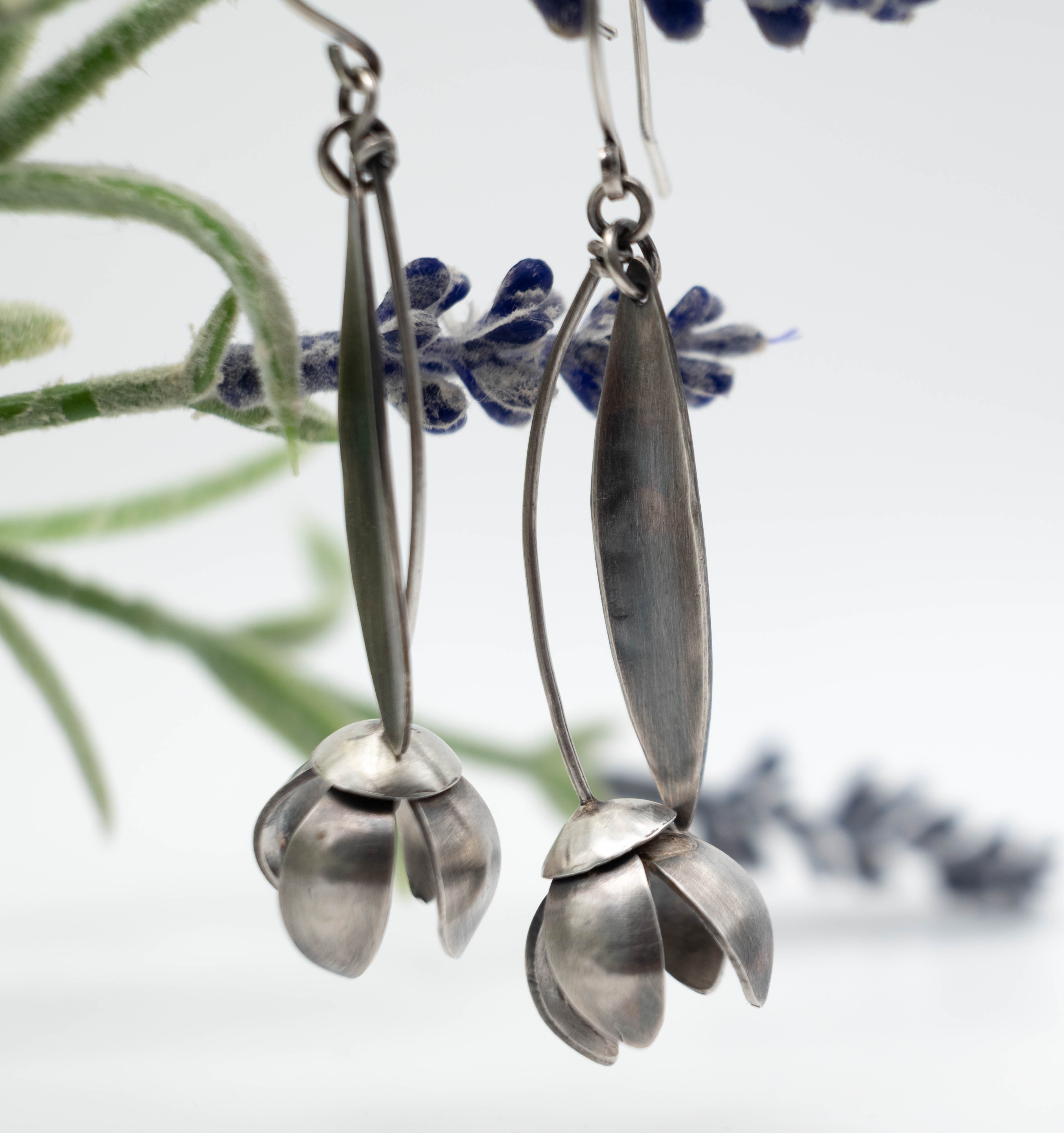 skoyularikia louloudi